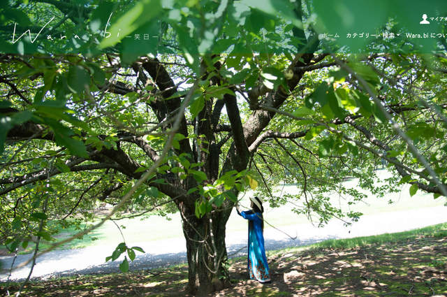 wara.biー笑日ーオンラインショップ